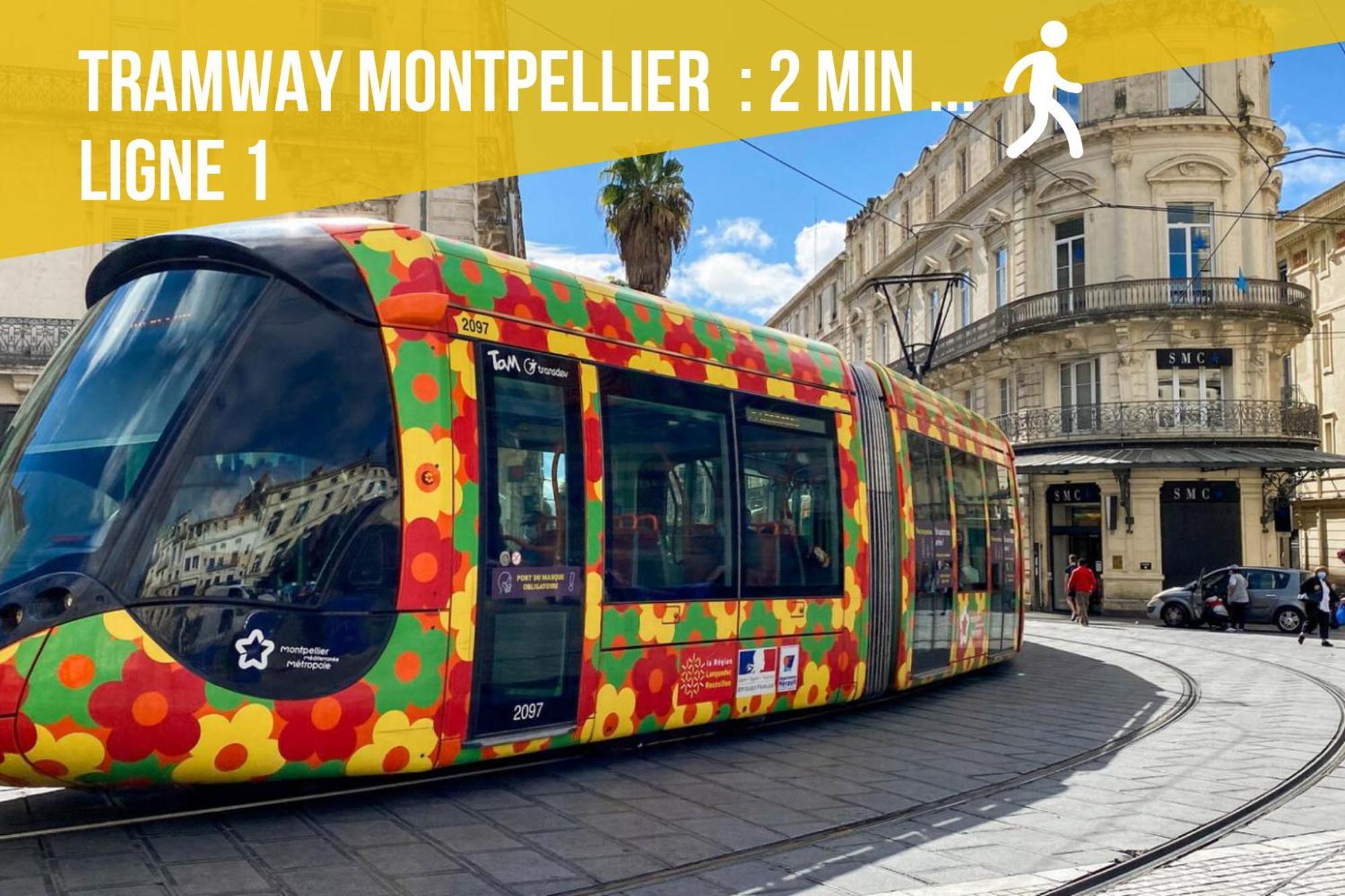 Le Chapeau Rouge - Centre Historique - Corum - Tramway - Climatisation Montpellier Exterior photo